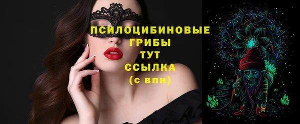 сатива Ладушкин
