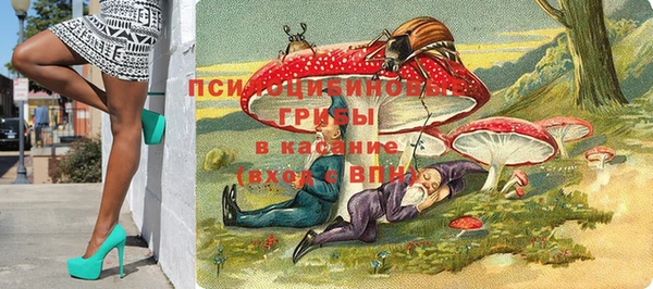 соль ск Лиски