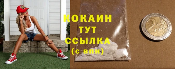 соль ск Лиски