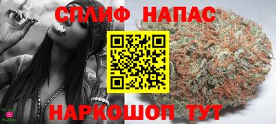 тгк Канаш