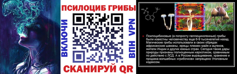 KRAKEN ссылка  купить  цена  Медногорск  Галлюциногенные грибы прущие грибы 