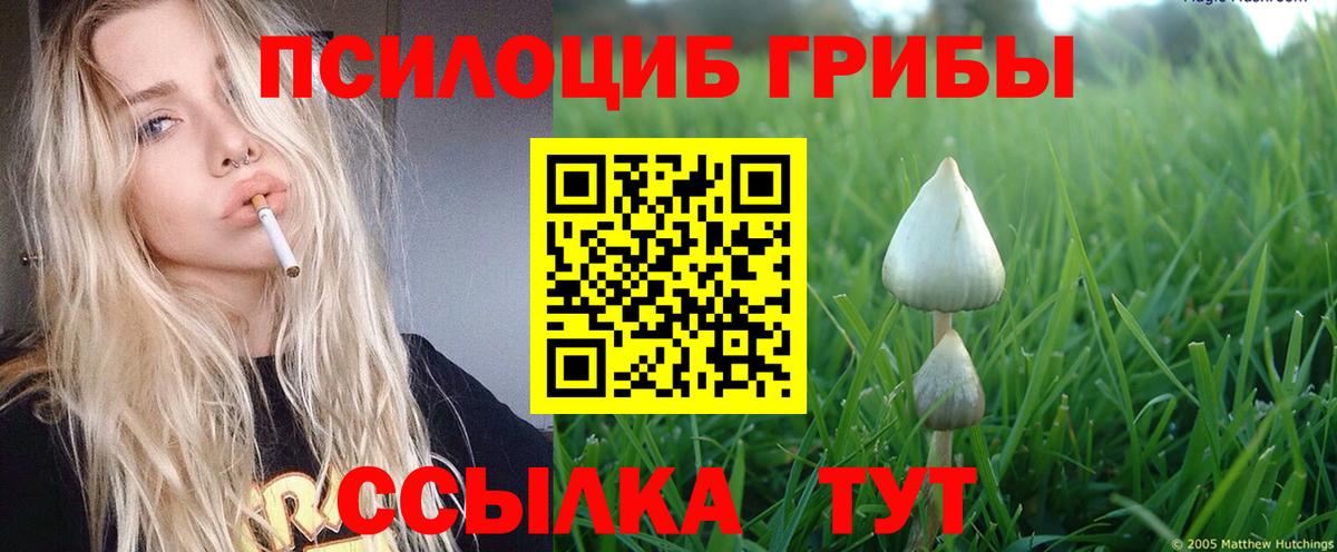 Псилоцибиновые грибы мухоморы  Вход с VPN  Медногорск 