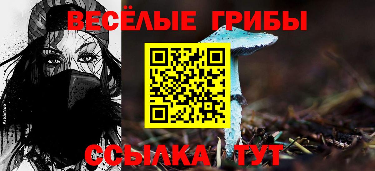 МЕФ Медногорск