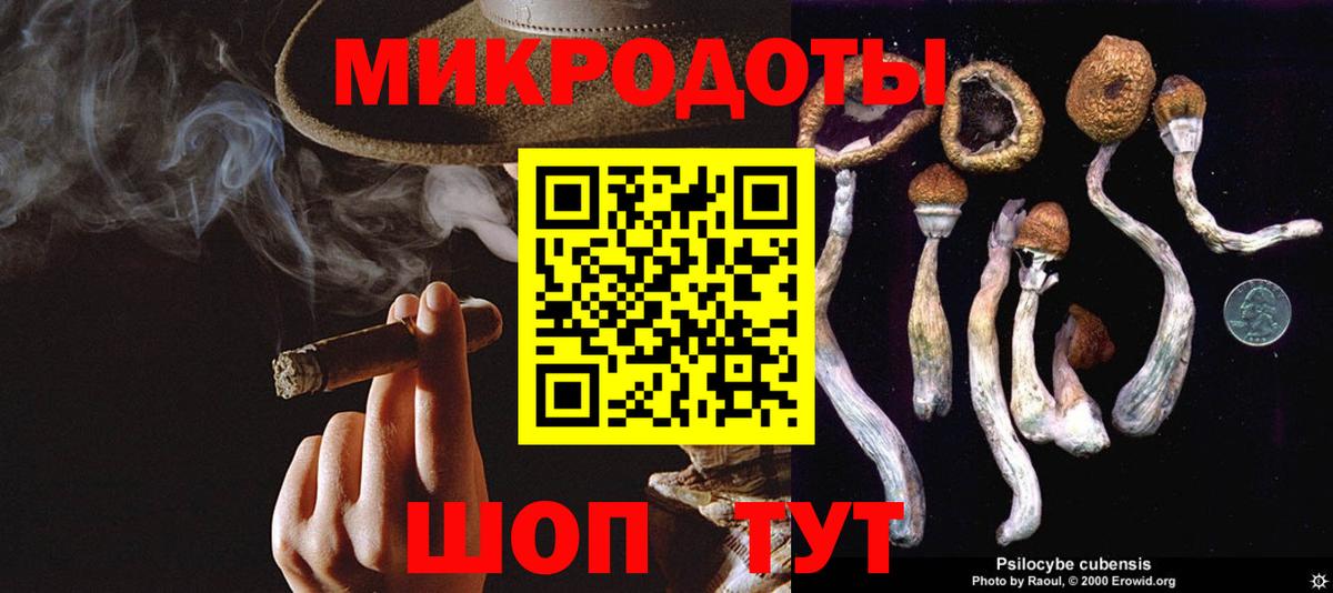 Галлюциногенные грибы Magic Shrooms Медногорск