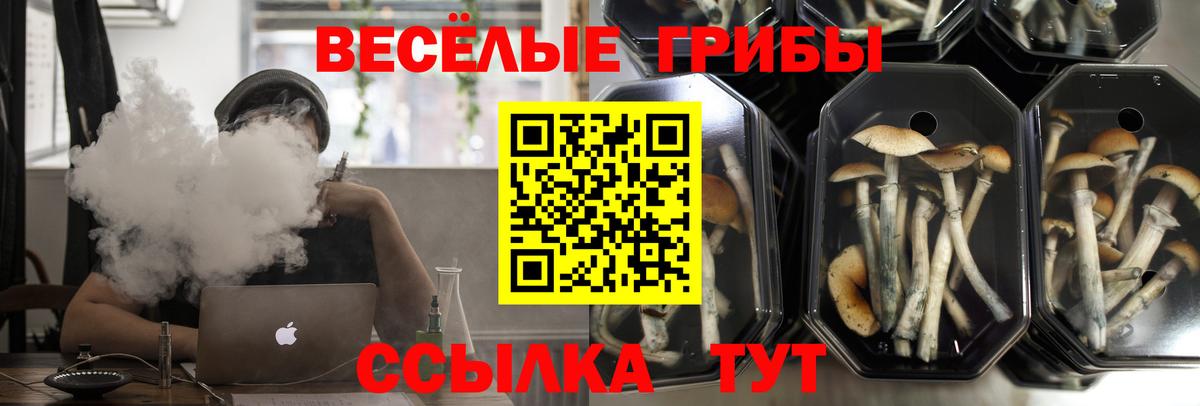 Псилоцибиновые грибы ЛСД Медногорск